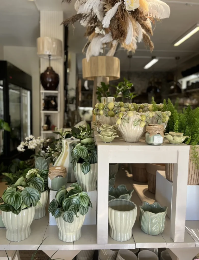 Utställning av krukväxter och dekorativa keramikplanteringar på vita hyllor i en väl upplyst växt- och inredningsbutik.