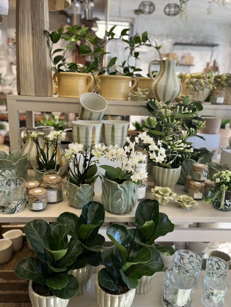 En utställning med krukväxter, ljus, glas och keramikkannor på hyllor i en butik.