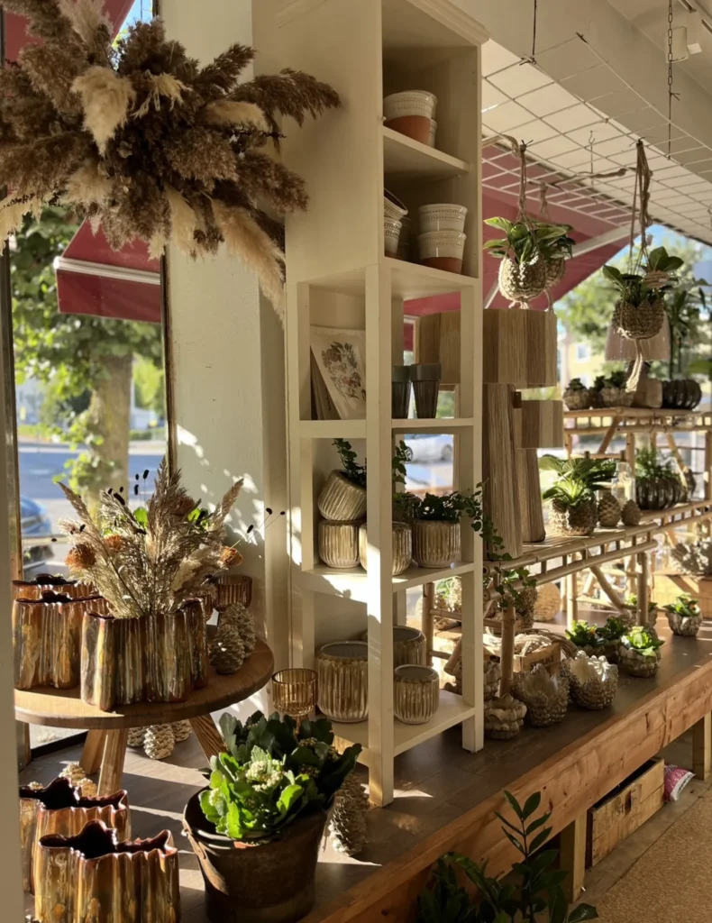 Solljuset flödar in i en butik med krukväxter, torkade blomsterarrangemang och dekorativa vaser på trähyllor och bord.