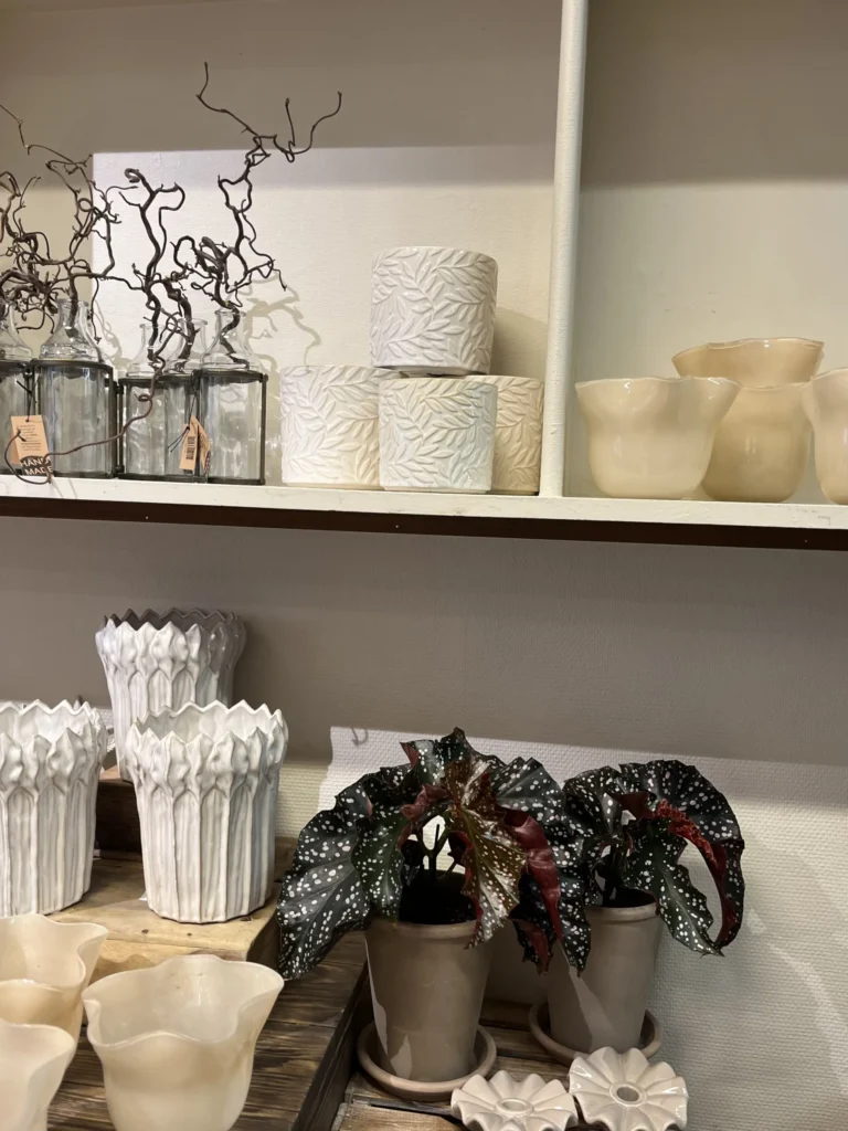 Hyllor med dekorativa vaser, keramikskålar, ljusstakar med struktur, glasburkar och krukväxter med mörkgröna, prickiga blad.