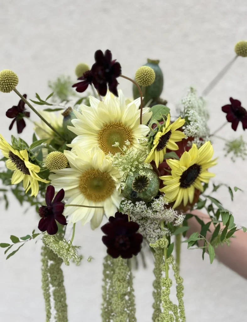 En hand håller en bukett med ljusgula solrosor, mörkt vinröda blommor, frökapslar och grönt bladverk mot en ljus bakgrund.