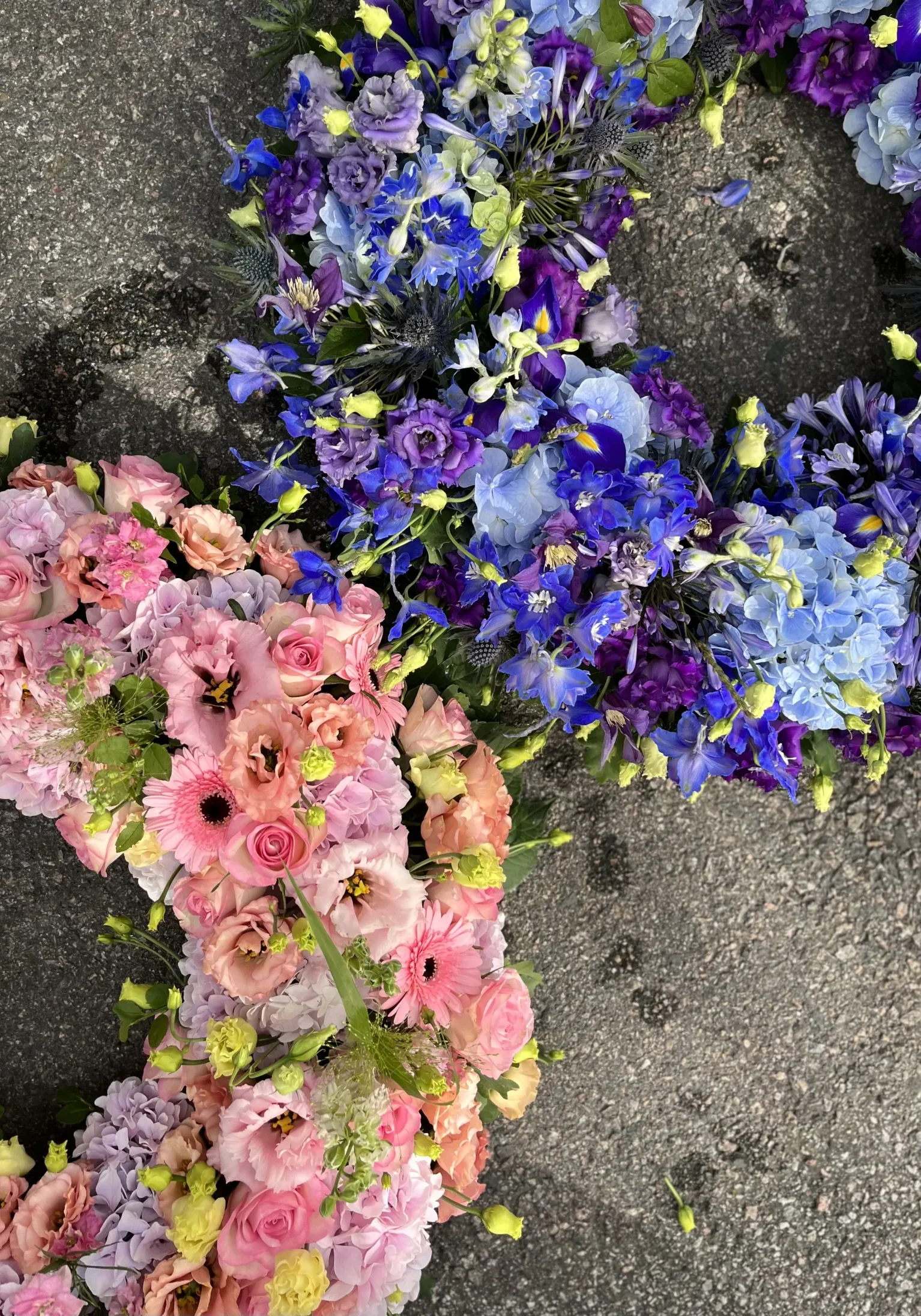 Begravning kransar21 Två blomsterkransar, den ena med rosa och gula blommor och den andra med blå och lila blommor, är placerade på en asfalterad yta.
